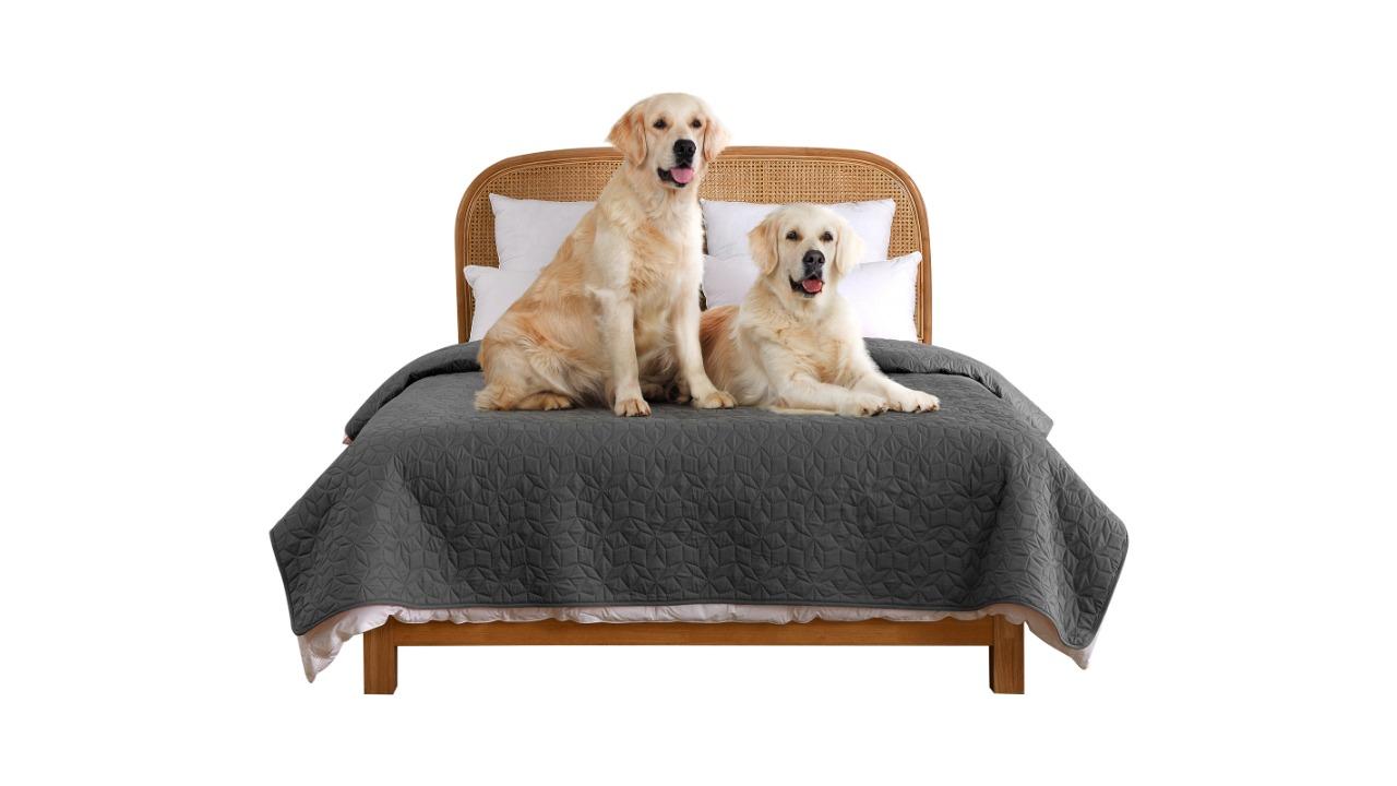 Charlie's Sofur Dog King/Super King Bed Cover - Charcoal