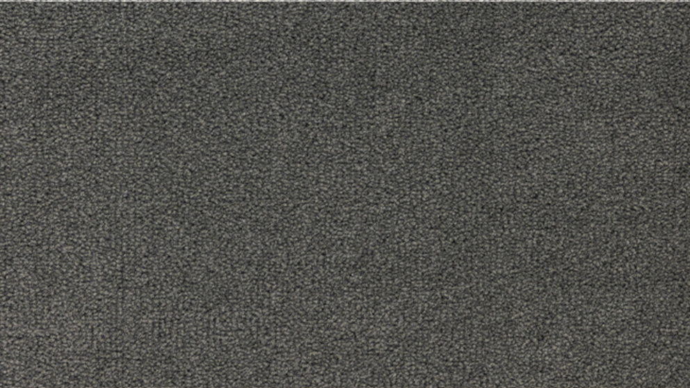 Healthy Homes Arno Bay Carpet - Charcoal