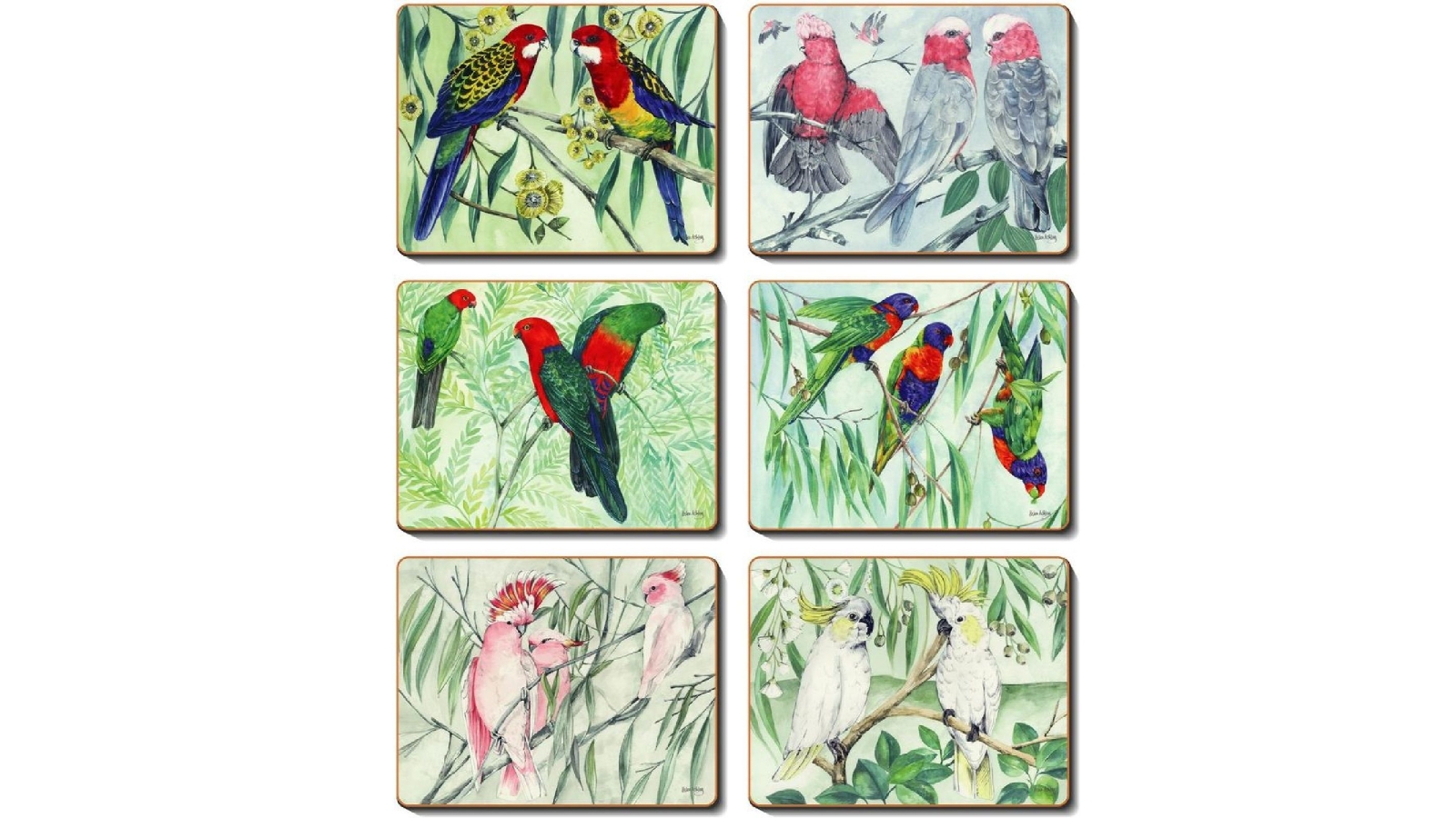 Cinnamon Cork Backed Coasters Set of 6 - Australian Parrots