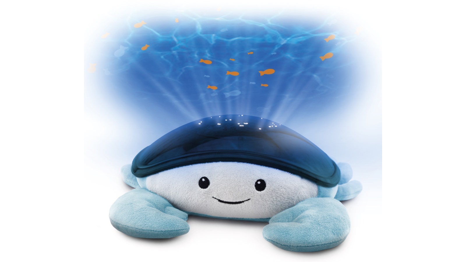 Zazu Cody Ocean Projector