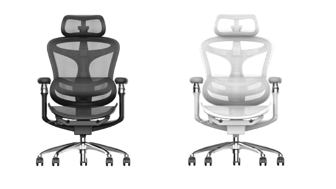 Sihoo Australia A3 DORO-C300 Pro Ergonomic Office Chair