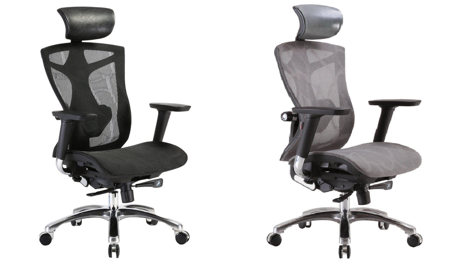 SIHOO V1 Executive Ergonomic Office Chair | Harvey Norman