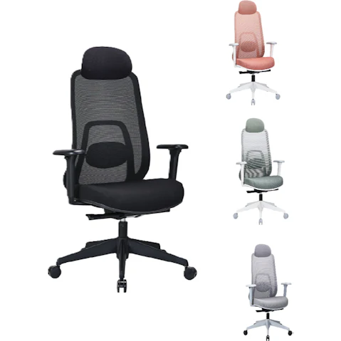 Desky Regal Mesh Office Chair with Headrest