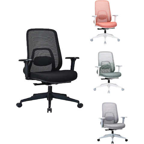 Desky Regal No Headrest Mesh Office Chair