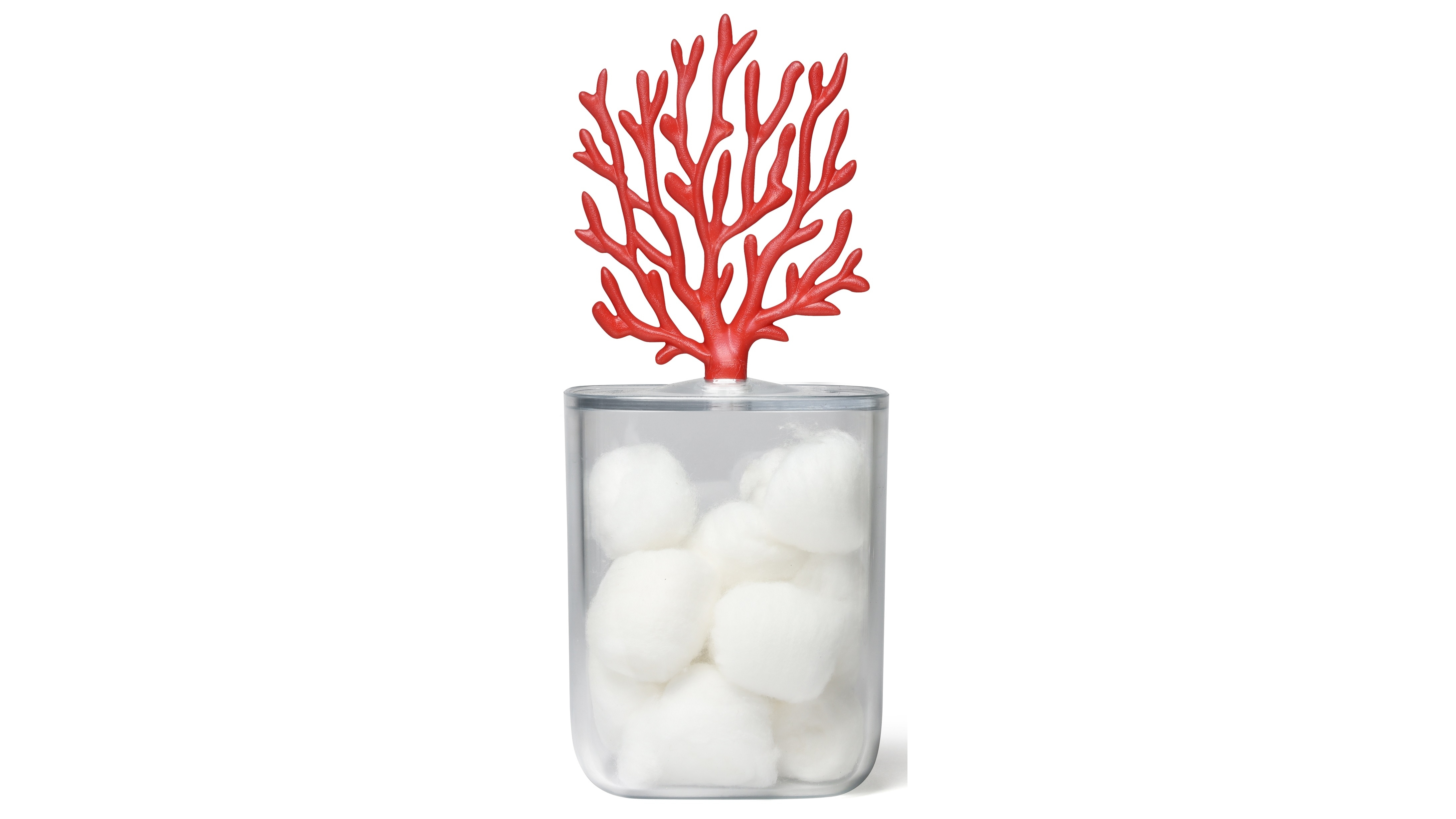 Qualy Coral Container - Clear/Red