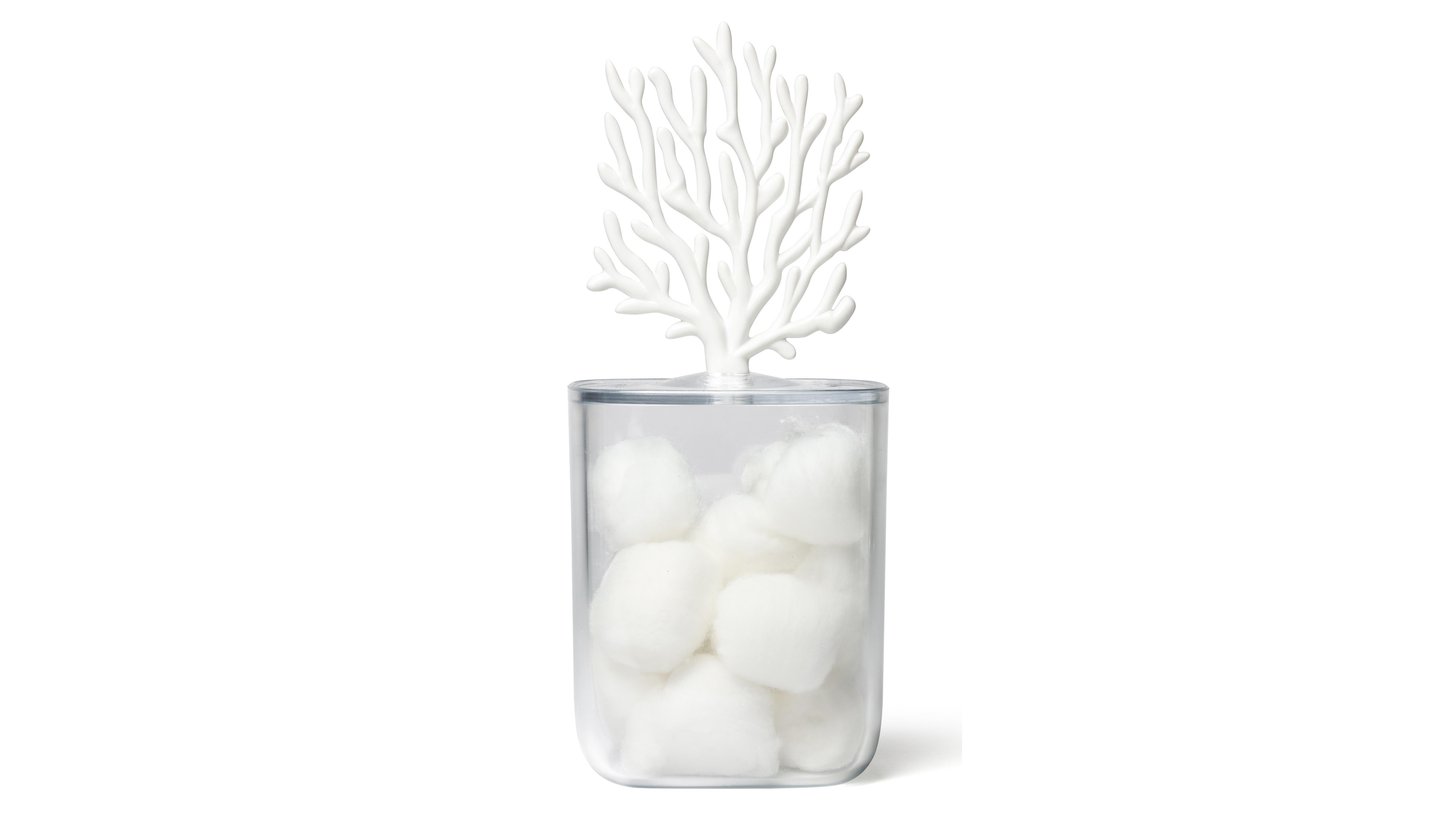 Qualy Coral Container - Clear/White
