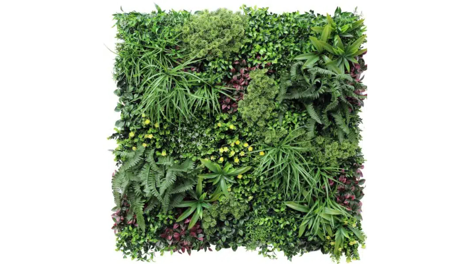 Designer Plants UV Resistant Country Fern Vertical Garden - 100 x 100cm