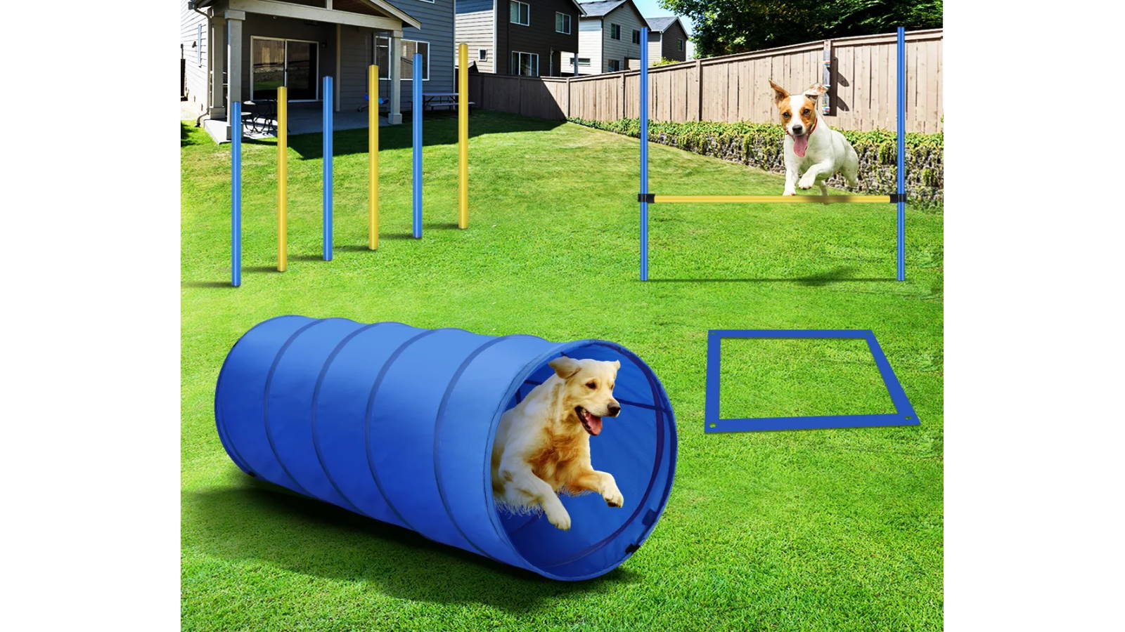 Pawise Pet Obstacle Training Course Dog Agility Equipment 28-Piece