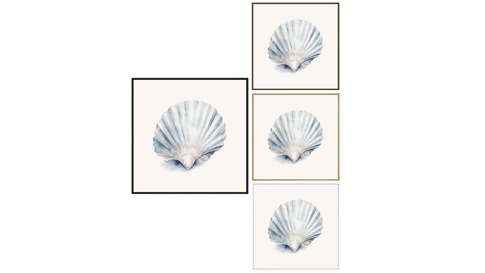 La Grolla Natures Beauty Seashell II Gallery Wall Art