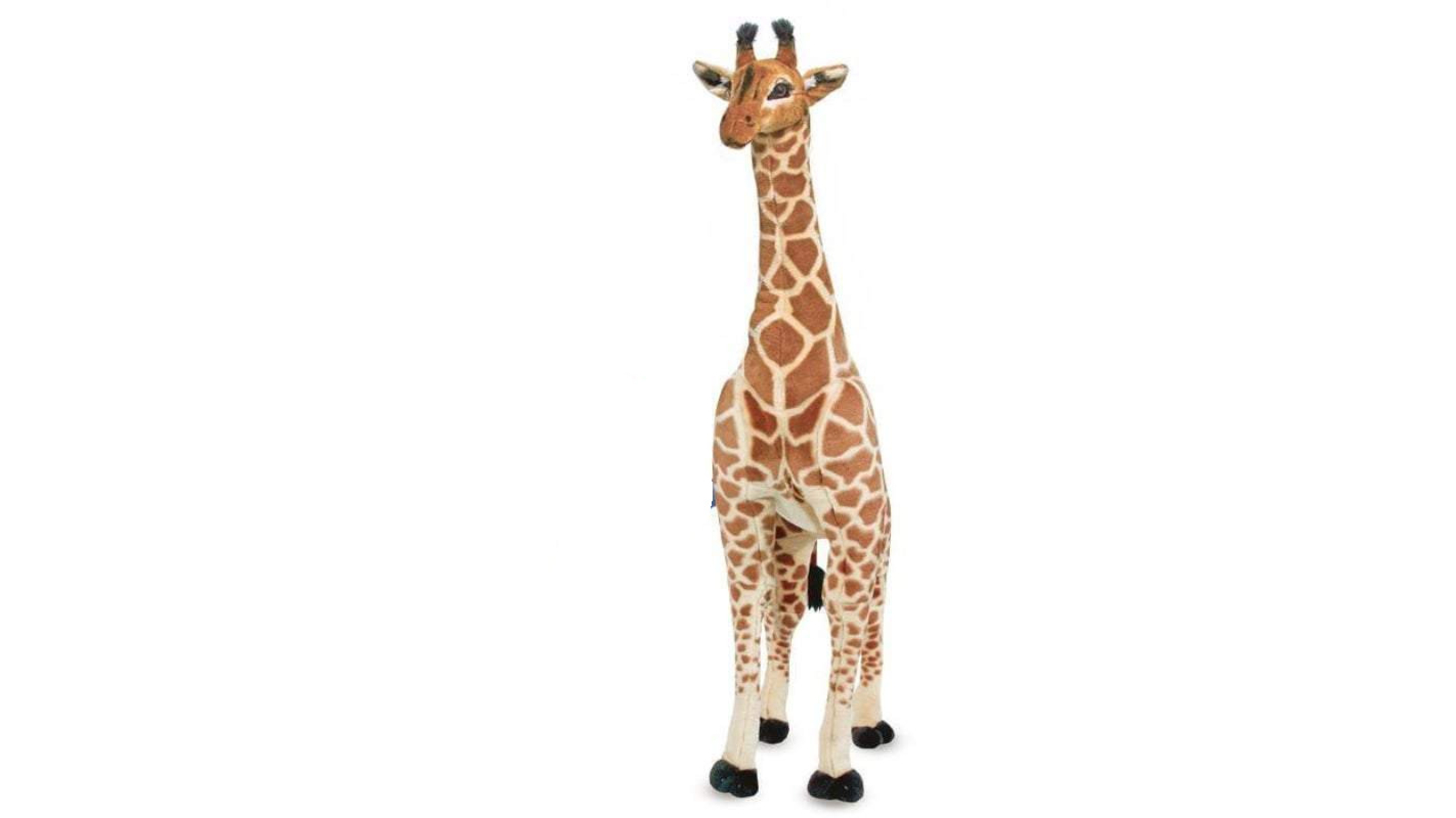 Giraffe 2024 Plush Lot RESERVED