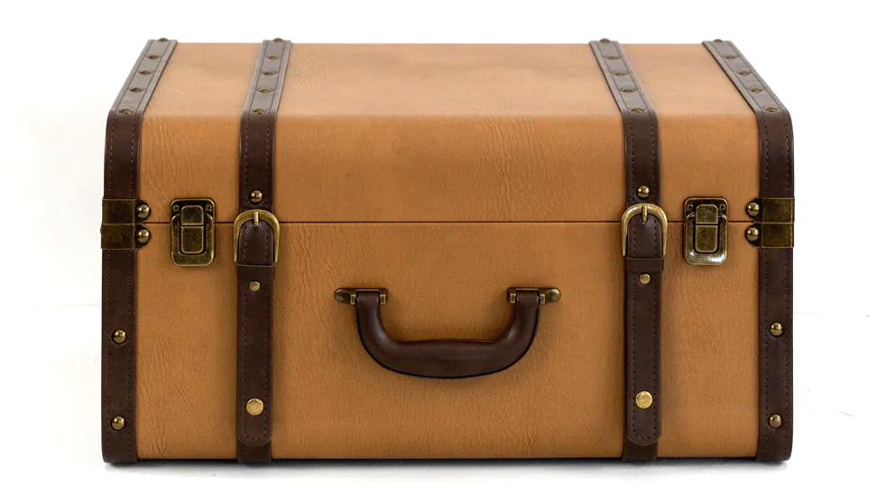 Vertue Nico Storage Box