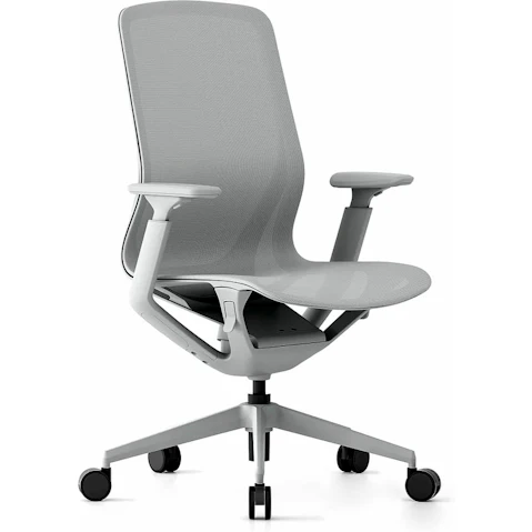 Desky Adjustable Armrest Style Echo Modern Office Chair - Light Grey