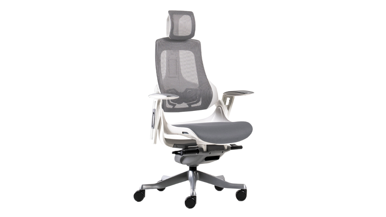 Desky Pro+ Ergonomic Chair - White