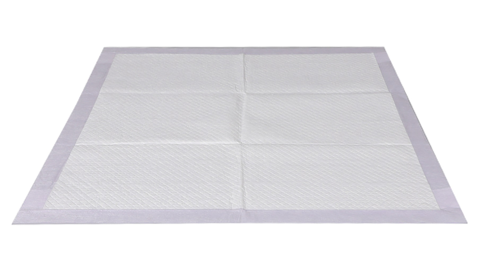 PaWz 400 Piece Pet Training Pad 