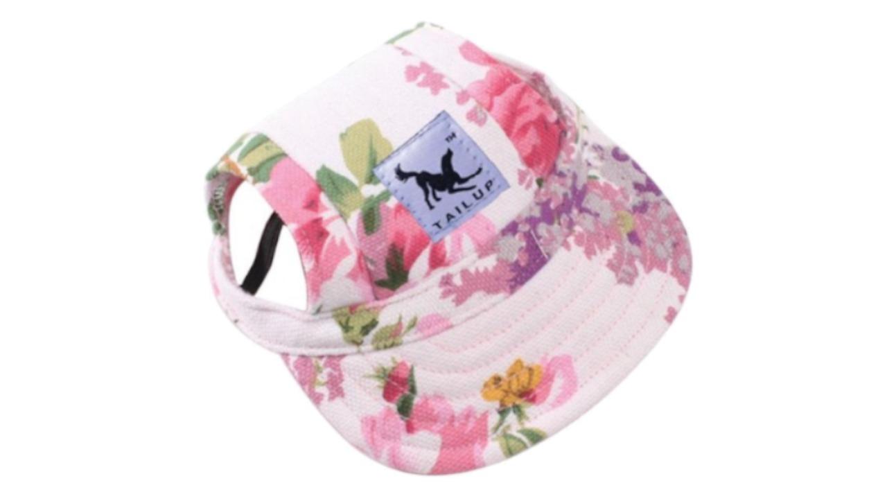 Puppy baseball cap clearance