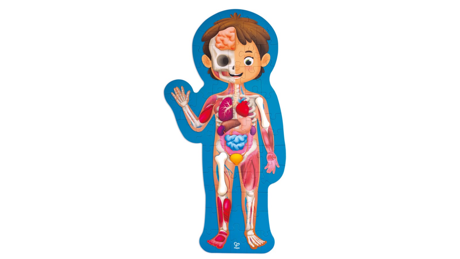 Hape Human Body Puzzle