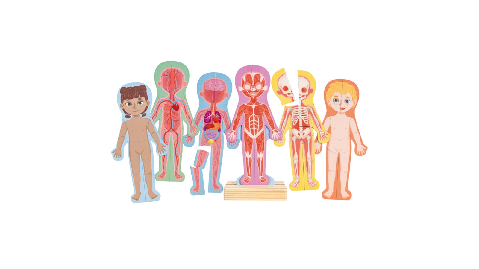 Hape Human Body Magnetic Puzzle