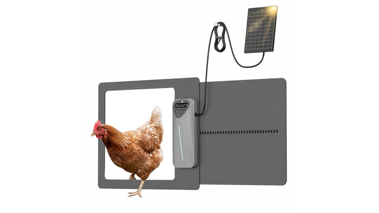 Advwin Automatic Chicken Coop Door with App Control