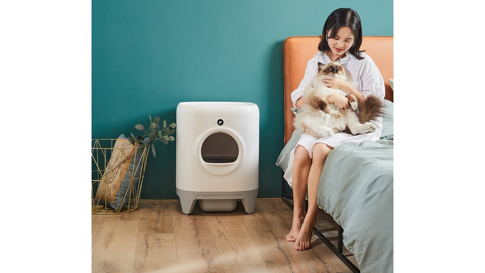 Petkit Pura X Automated SelfClean Cat Litter Box Harvey Norman
