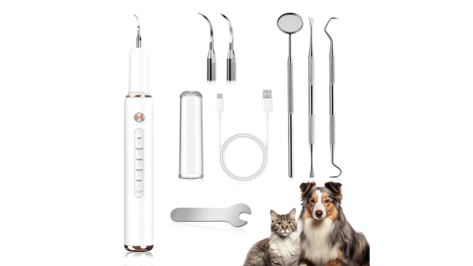 eDog Dental Pet Plaque Remover Ultrasonic Cleaning Kit