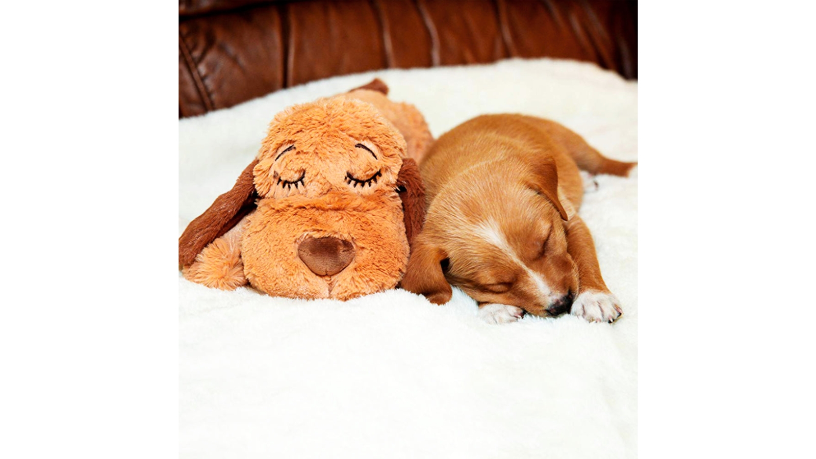 Smart Pet Love Replacement Heat Pads for Snuggle Puppy Pack of 5 Harvey Norman