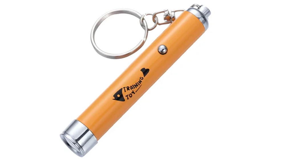 eDog Interactive LED Pet Pointer Pen
