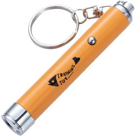 eDog Interactive LED Pet Pointer Pen