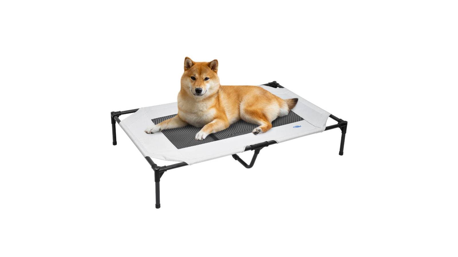 YS Raised Elevated Pet Scratch Bed - Large