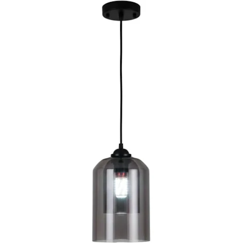 Eli & Co. Lighting Ember Dome Glass Pendant Light - Smoke Black