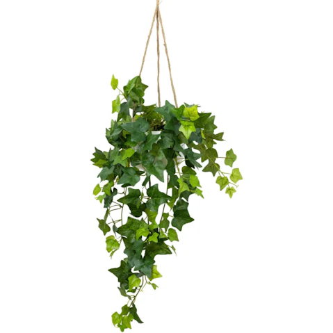 Glamorous Fusion Green English Ivy Artificial Hanging Planter with Rope - 98cm