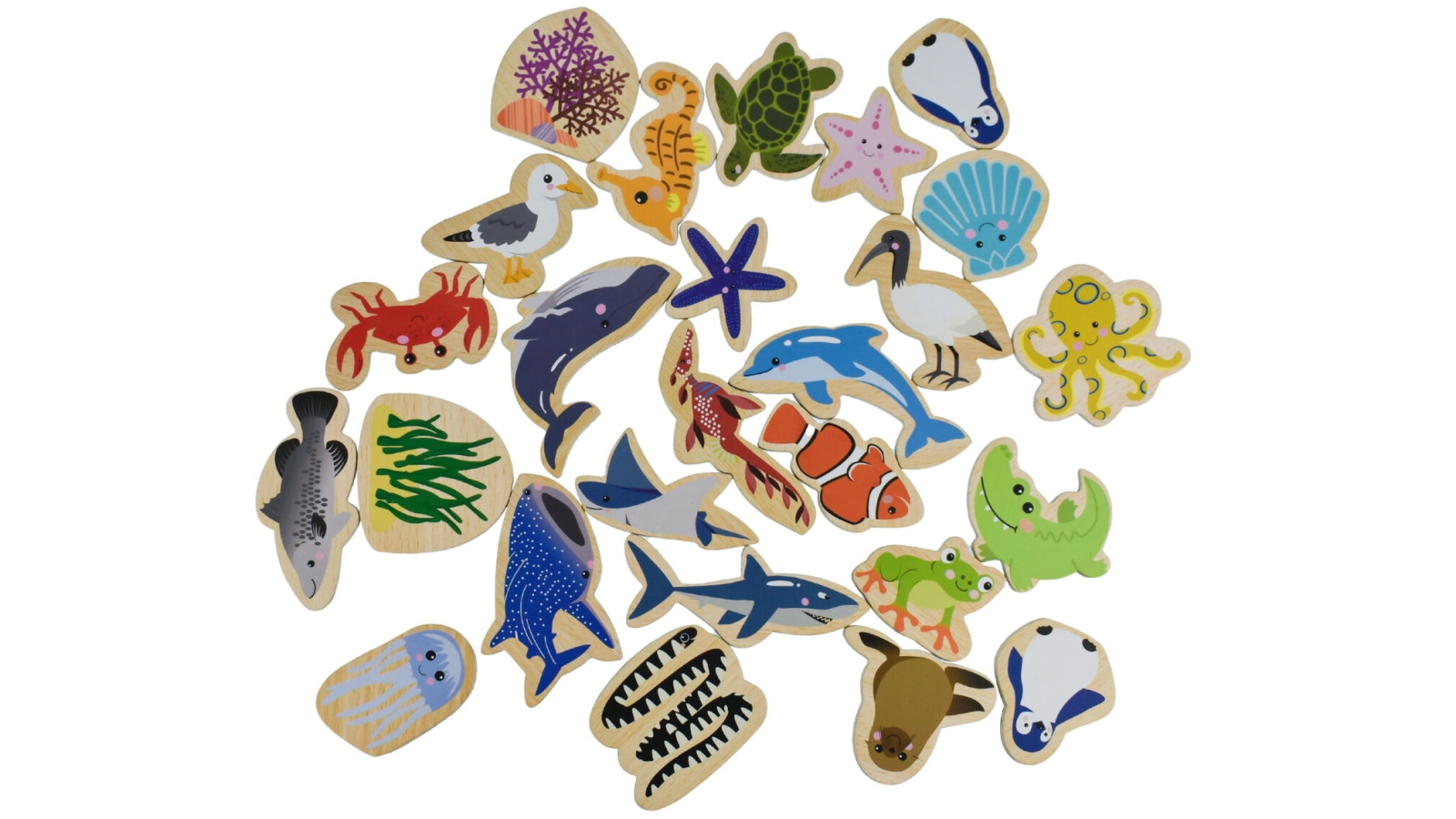 Koala Dream Fridge Friends Magnetic Australian Sea Animals - 25-Piece