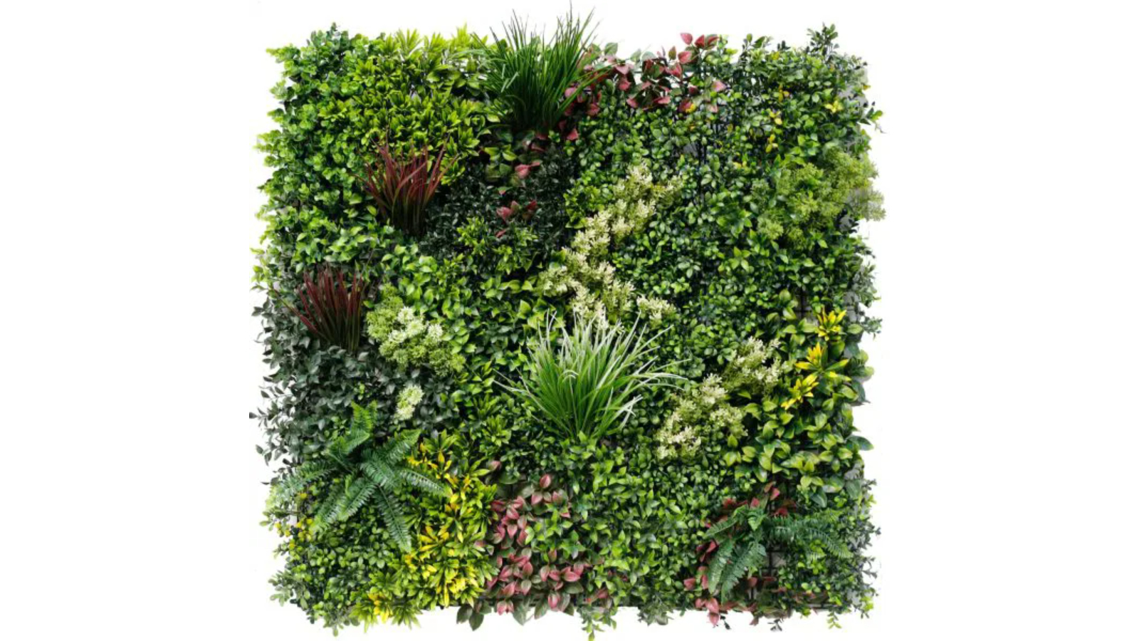 Designer Plants UV Resistant Evergreen Rainforest Vertical Garden - 1 x 1metre