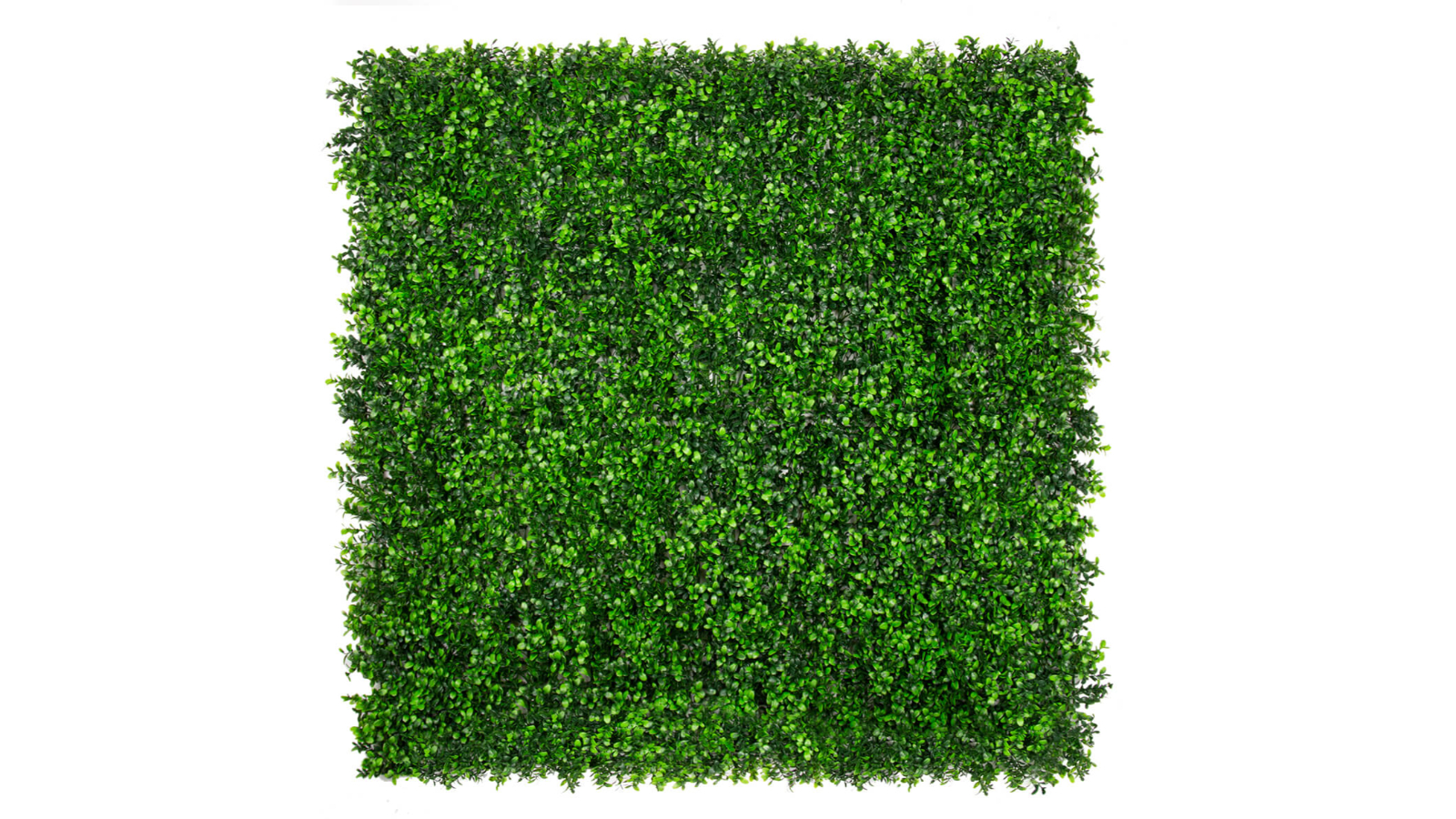Evergreen Classic Boxwood Artificial Plant