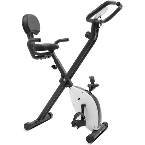 Lifespan Fitness EXER-11 Exercise Bike