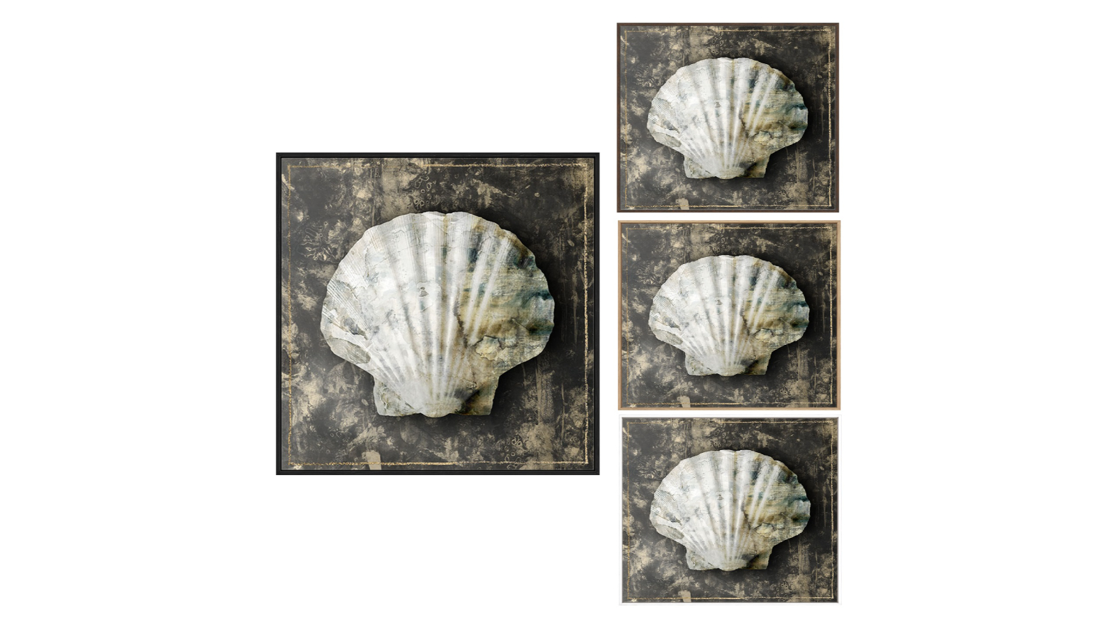 La Grolla Marble Shell Series IV Gallery Wall Art
