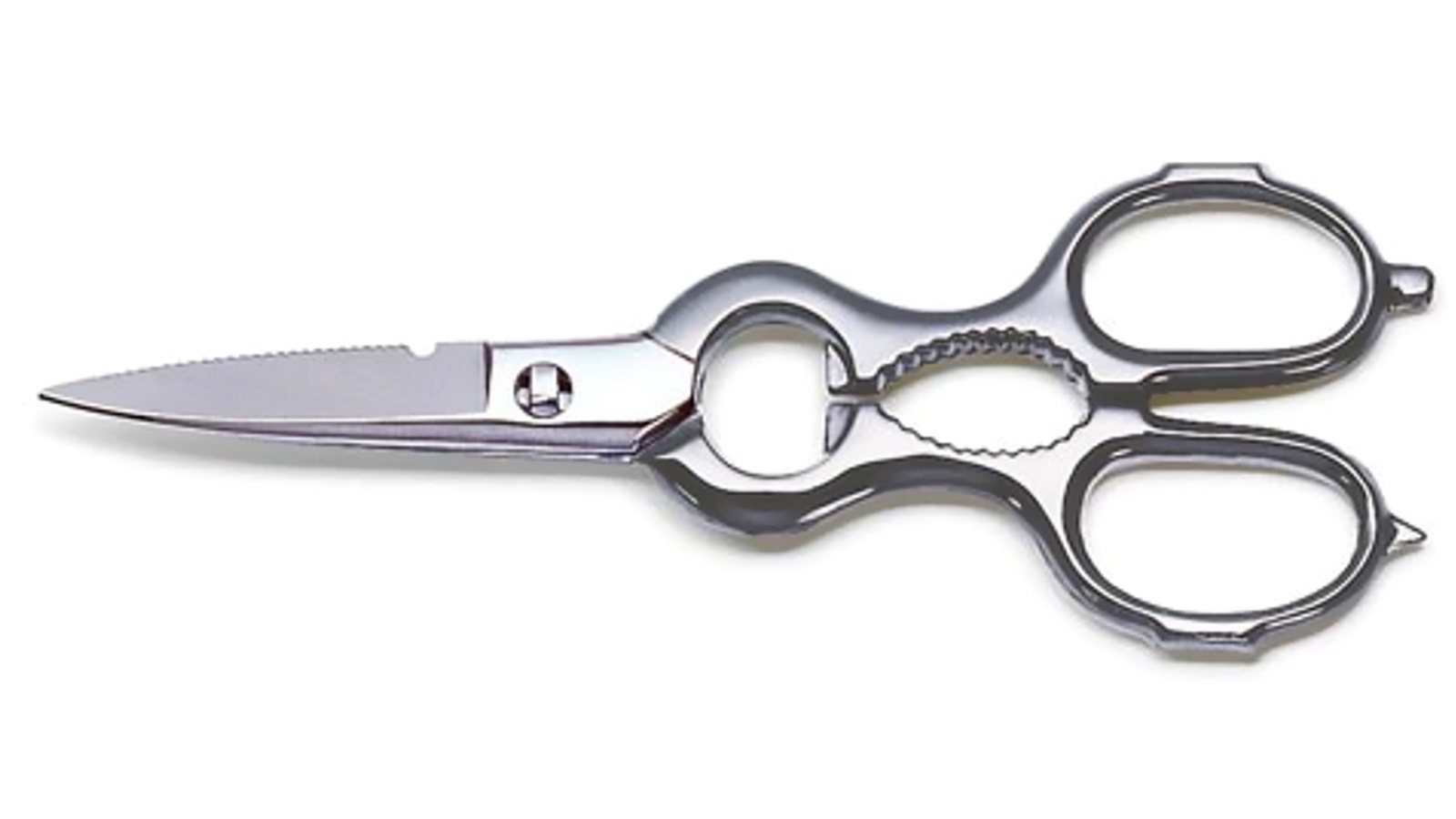 F.Dick 21cm Tools Forged for Chefs Kitchen Shears