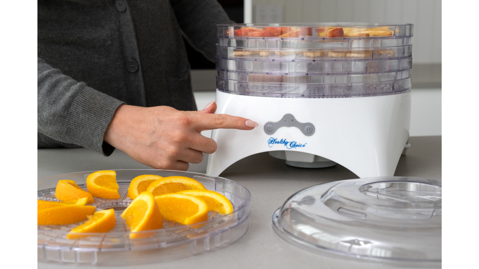 Healthy Choice Digital Food Dehydrator Harvey Norman