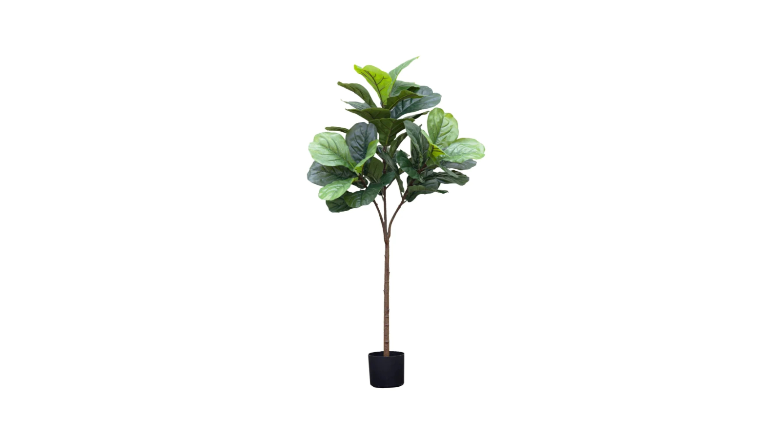 Glamorous Fusion Fiddle Leaf Artificial Plant - 132cm