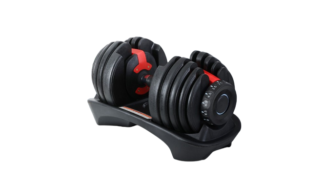 Dumbbell Plate Buy Steel Dumbbells Online Adjustable Dumbbell