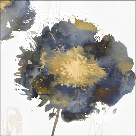 La Grolla Flower Burst II Unframed Canvas Wall Art