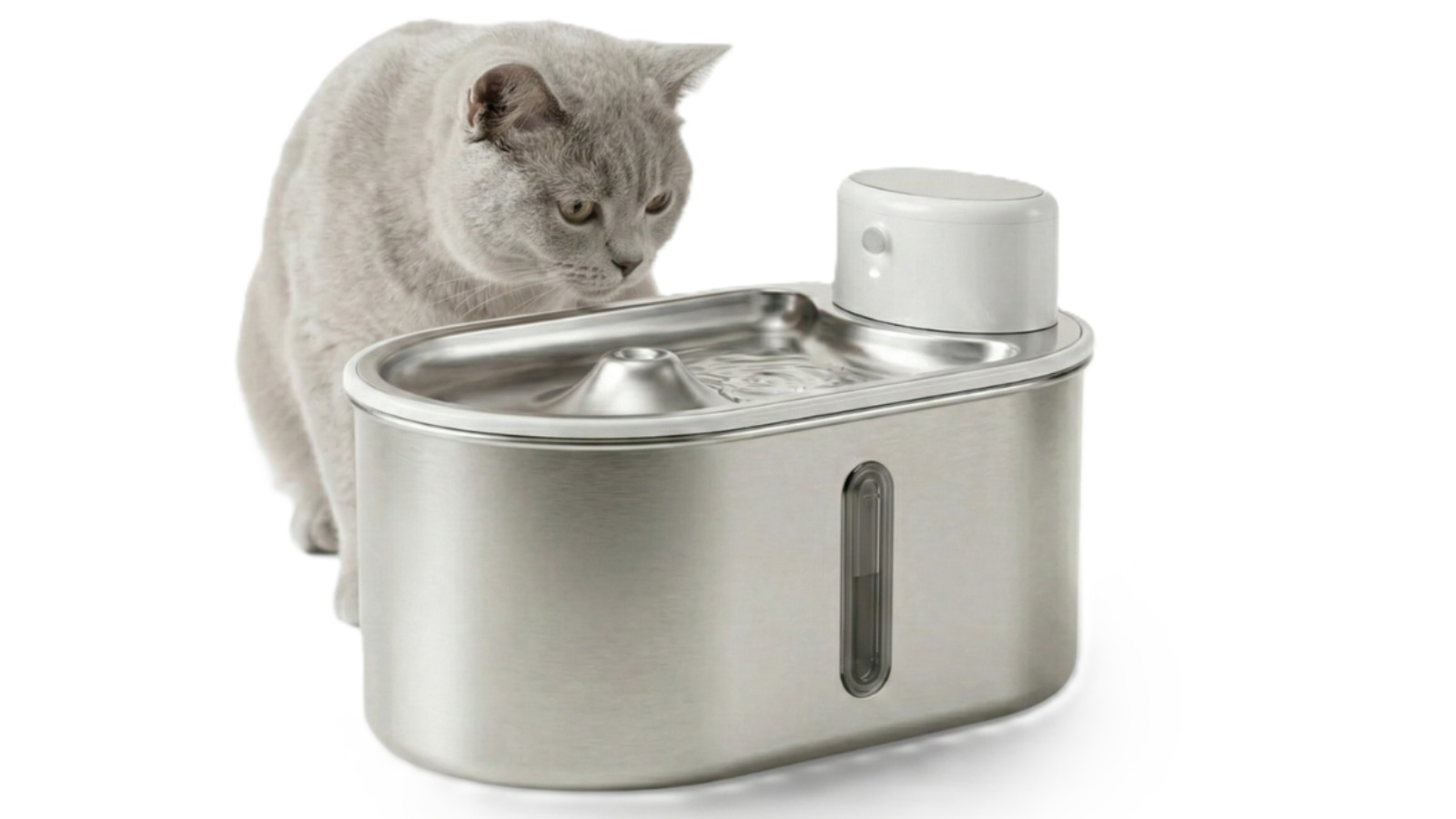 Petbuds Pet Flow Drinking Fountain