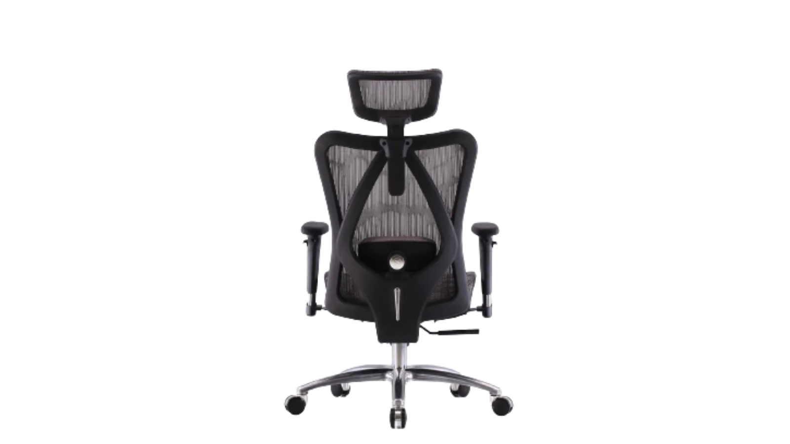 SIHOO M57 Ergonomic Office Chair with Adjustable Headrest, Backrest and