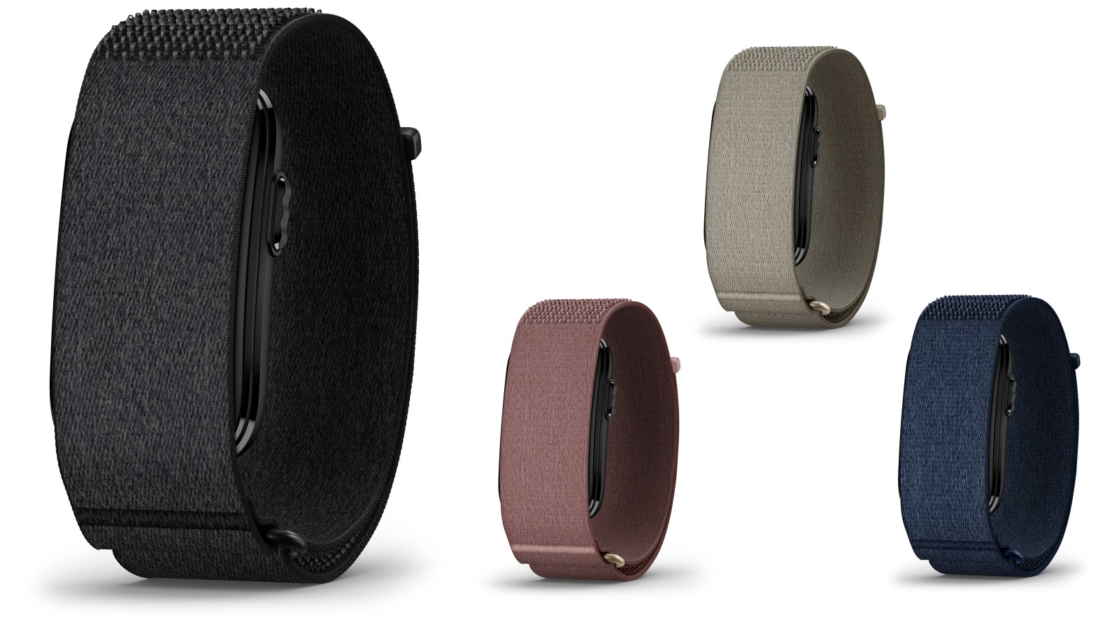 Garmin CIRQA Smart Band