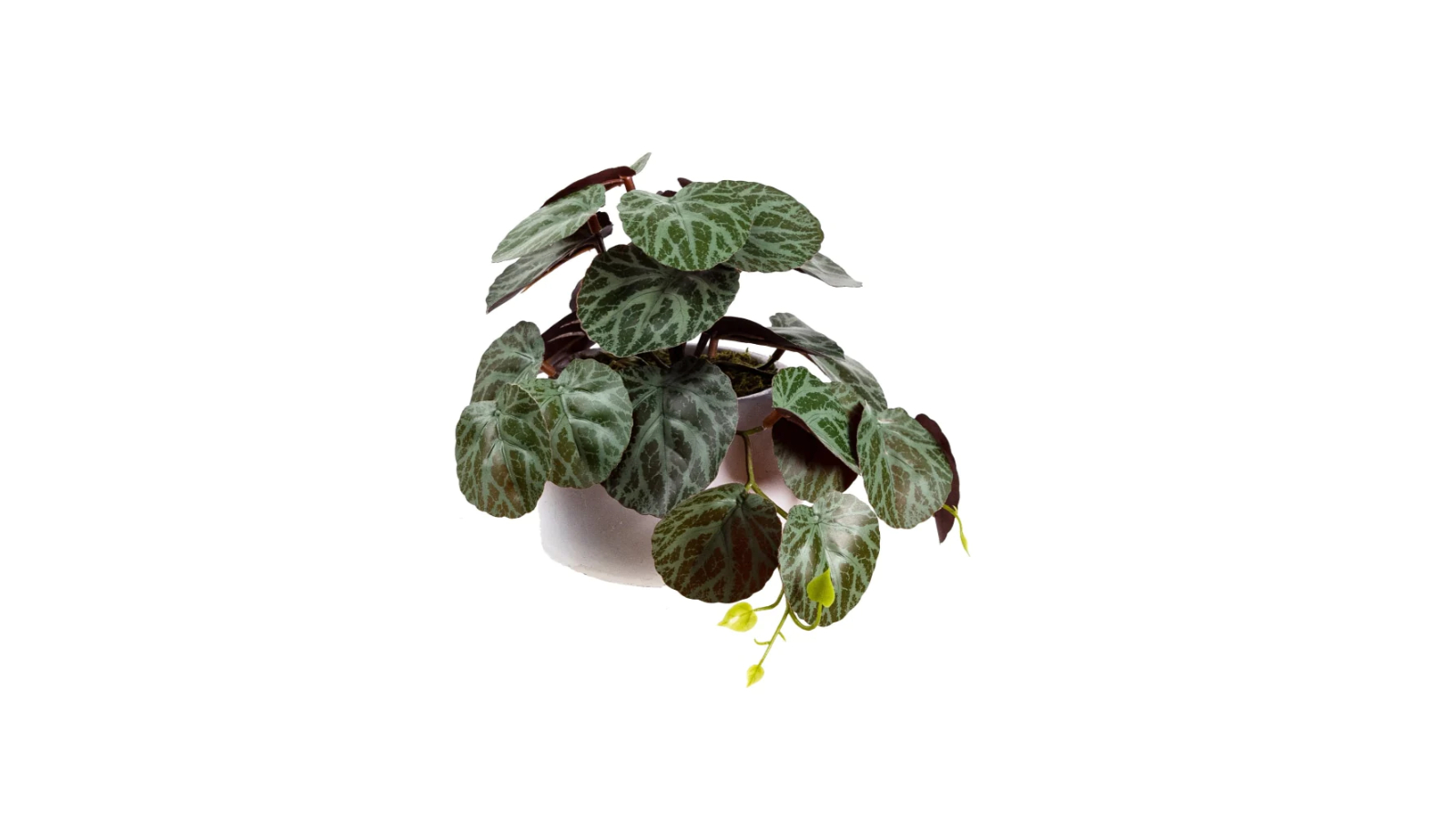 Glamorous Fusion Gerainium Bush Artificial Plant in Pot - 17cm