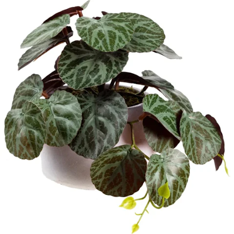 Glamorous Fusion Gerainium Bush Artificial Plant in Pot - 17cm