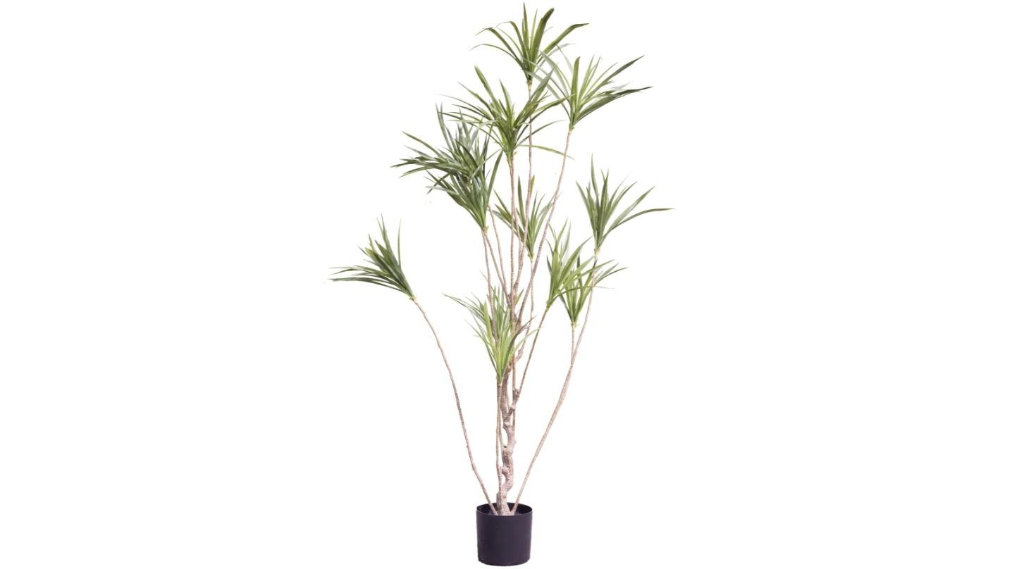 Glamorous Fusion Green Giant Fidlle Leaf Artificial Faux Plant Tree - 180cm