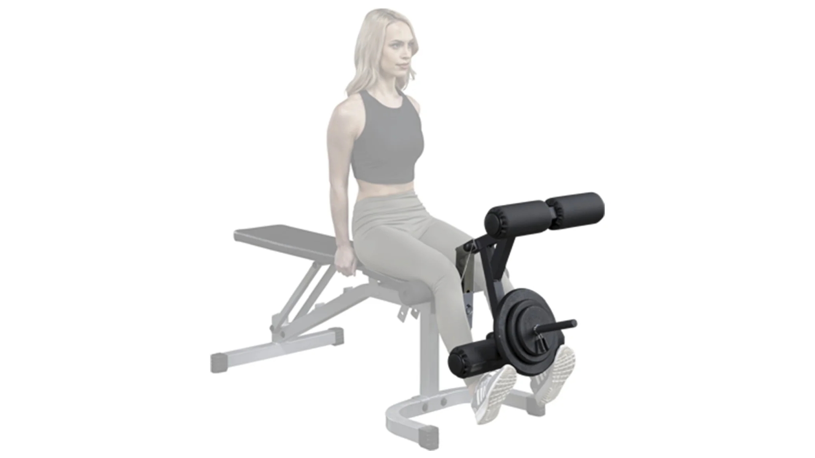 BodySolid Leg Developer Attachment