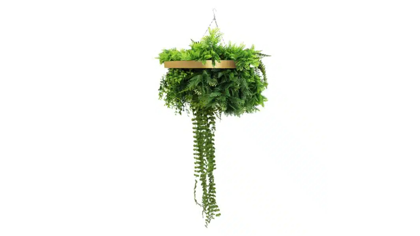 Designer Plants UV Resistant Gold Framed Hanging Disc - 40cm