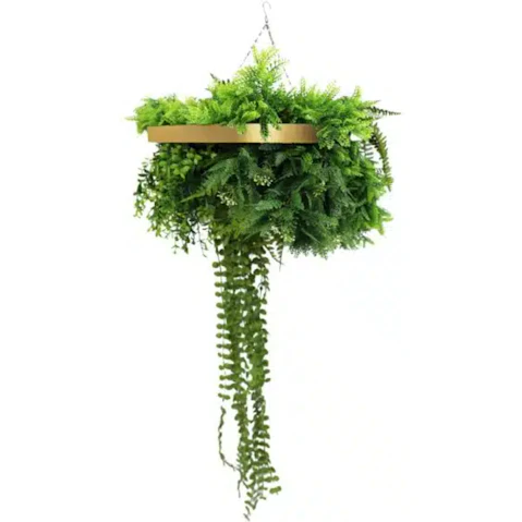 Designer Plants UV Resistant Gold Framed Hanging Disc - 40cm