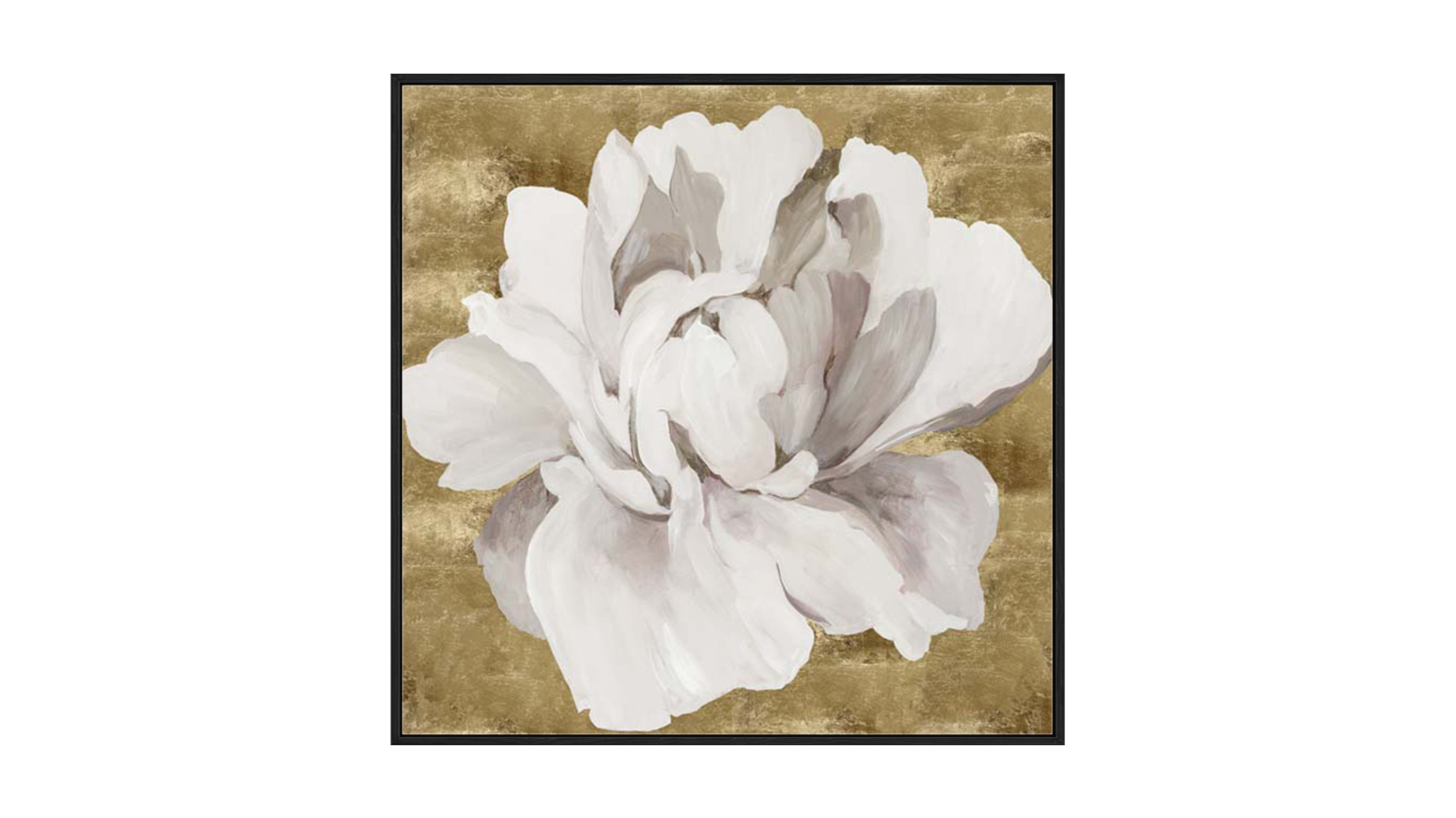 La Grolla Gold Flower I Black Gallery Wall Art - 103 x 103cm
